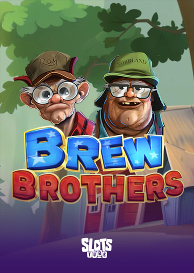 Recensione di Brew Brothers