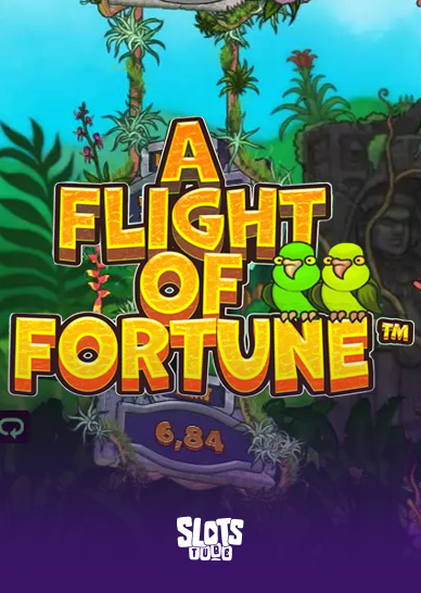 Recensione della slot Flight of Fortune