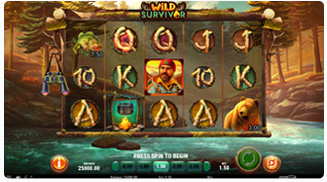 Wild Survivor Gioco