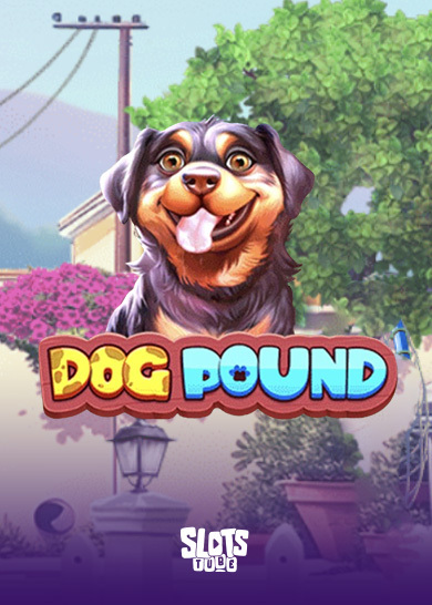 Dog Pound Recensione slot